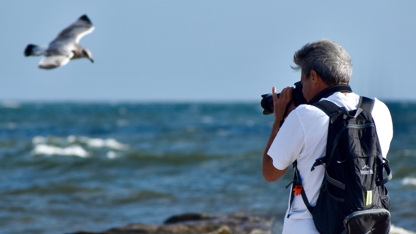 Photographer by the sea capturing a flying seagull.