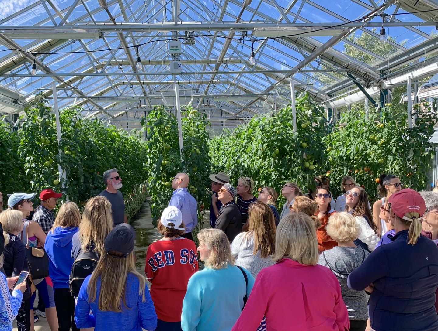 Group touring a greenhouse with tall plants under a glass roof.